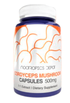 60 Cápsulas con 500mg de Hongo Cordyceps - Nootropics Depot
