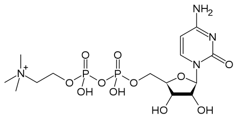 Cdp Colina