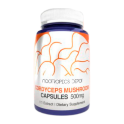 Cordyceps Cápsulas (x60) 10:1 Extracto | Hongo Adaptogénico para Energía y Resistencia – Nootropics Depot