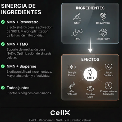 NMN - 60 Cápsulas con 1000mg β-Nicotinamida Mononucleótido + Resveratrol + TMG + Bioperine®  por CELX