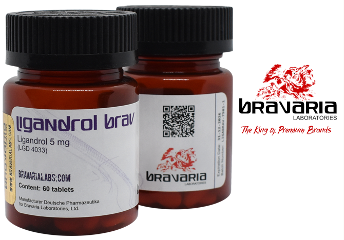 Ligandrol Bravaria LGD-4033 5mg – Bravaria Laboratories