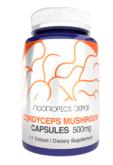 60 Cápsulas con 500mg de Hongo Cordyceps  - Nootropics Depot