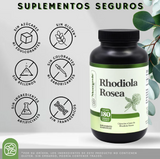 60 Cápsulas con 500mg de Rhodiola Rosea - Momosie