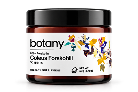 Coleus Forskohlii Polvo 50g | Forskolina para Metabolismo y Composición Corporal – Botany