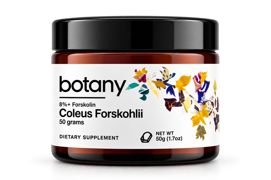 Coleus Forskohlii Polvo 50g – Botany