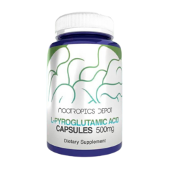 Ácido L-Piroglutámico Cápsulas 500mg (x120) | Nootrópico Colinérgico Clásico – Botany