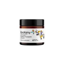 Coleus Forskohlii Polvo 50g | Forskolina para Metabolismo y Composición Corporal – Botany