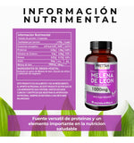 Melena de León 1000mg 60 comprimidos – Prettián XIII