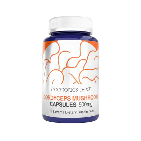 Cordyceps militaris 500 mg · 60 Cápsulas – Nootropics Depot