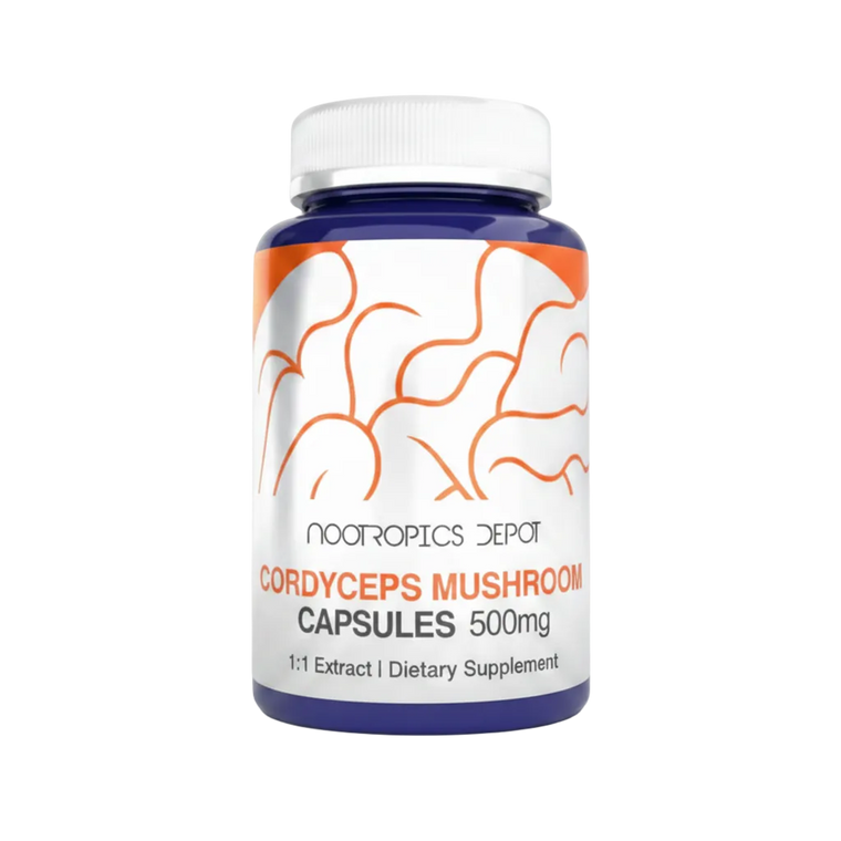 Cordyceps militaris 500 mg · 60 Cápsulas – Nootropics Depot